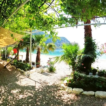豪华帐篷 Butterfly Valley Glamping 厄吕代尼兹