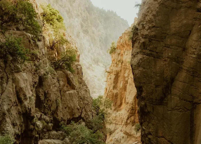 Butterfly Valley Glamping 豪华帐篷