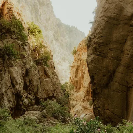 Butterfly Valley Seaside Glamping 豪华帐篷